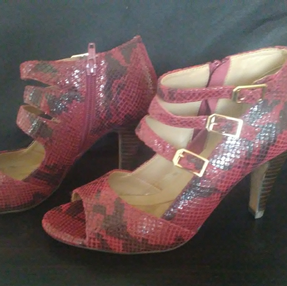 Isola Red/Black Snakeskin Pattern Shoes